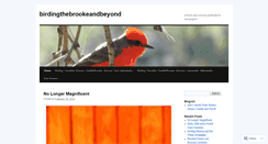 Desktop Screenshot of birdingthebrookeandbeyond.com
